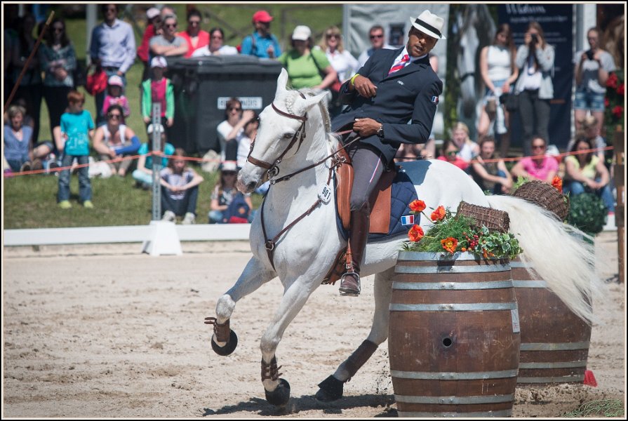 Pferd International 123